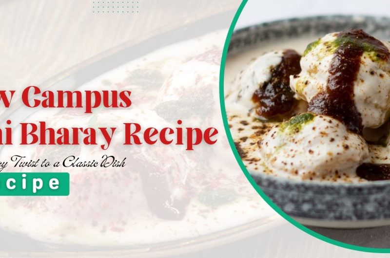 New Campus Dahi Bharay Recipe